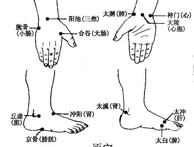 健身领域最权威的认证_健身领域_健身领域有哪些新的科技成果