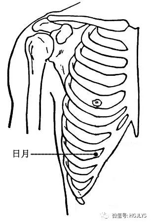 健身领域最权威的认证_健身领域_健身领域有哪些新的科技成果