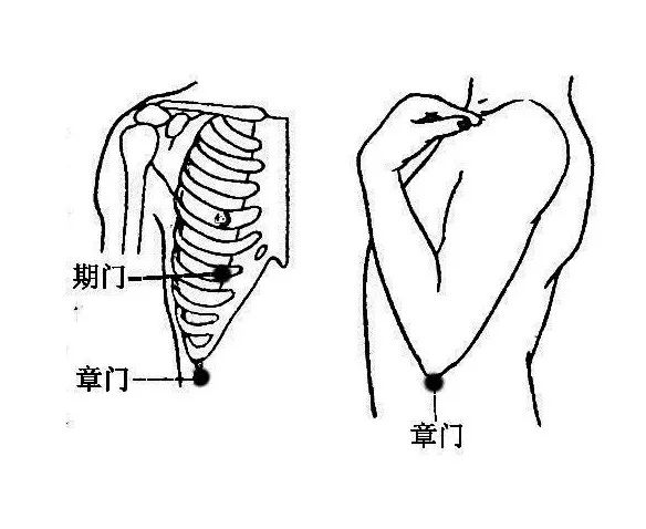 健身领域有哪些新的科技成果_健身领域最权威的认证_健身领域