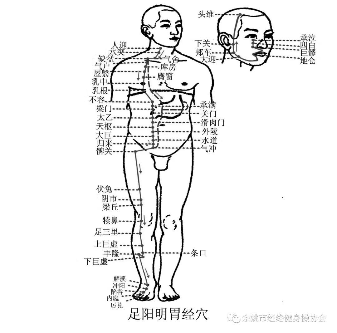 健身领域有哪些新的科技成果_健身领域_健身领域最权威的认证