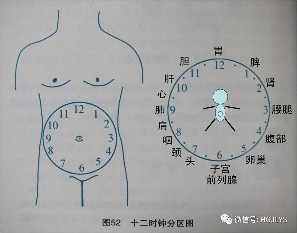 健身领域最权威的认证_健身领域_健身领域有哪些新的科技成果