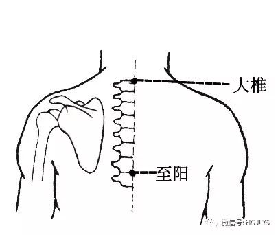 健身领域_健身领域最权威的认证_健身领域有哪些新的科技成果