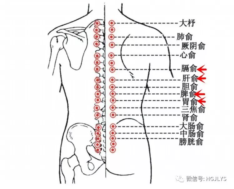健身领域_健身领域有哪些新的科技成果_健身领域最权威的认证