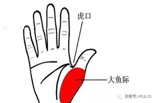 健身领域最权威的认证_健身领域_健身领域有哪些新的科技成果