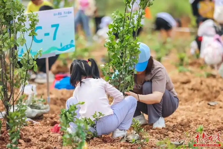 亲子健身_亲子健身活动记录表怎么写_亲子健身活动倡议书怎么写