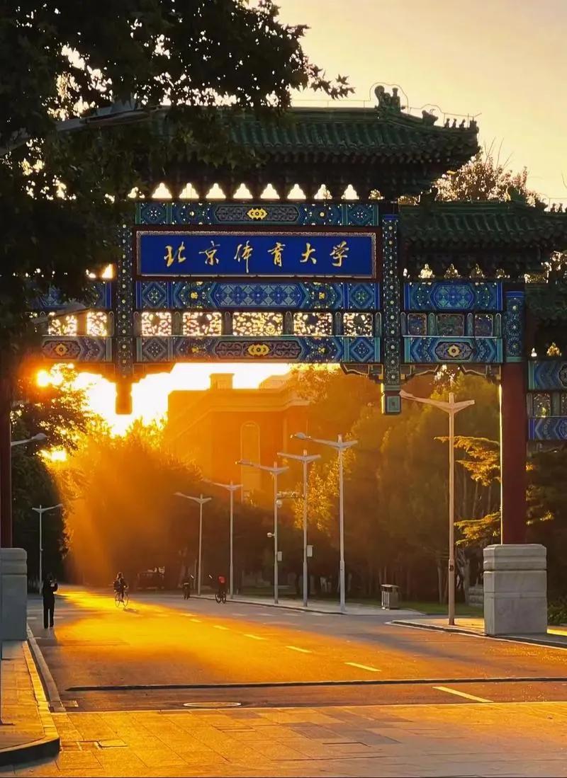 青少年足球冠军杯赛_青少年足球赛冠军_全国青少年足球赛冠军
