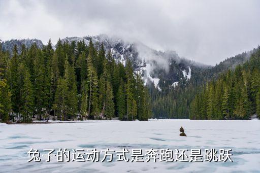 兔子的运动方式是奔跑还是跳跃