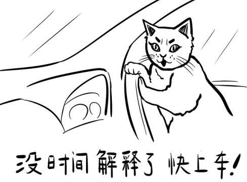 2017容桂马拉松_容桂半程马拉松_2020年顺德马拉松